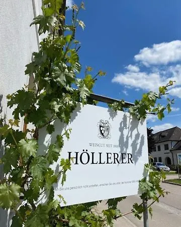 Weingut Hoellerer דירה